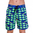 Badkläder för män 69SLAM Kort Boardshort Medium Elephant Green