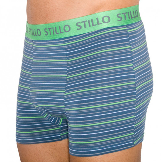 Boxershorts för herrar Stillo grå med gröna ränder (STP-010)