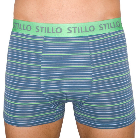 Boxershorts för herrar Stillo grå med gröna ränder (STP-010)