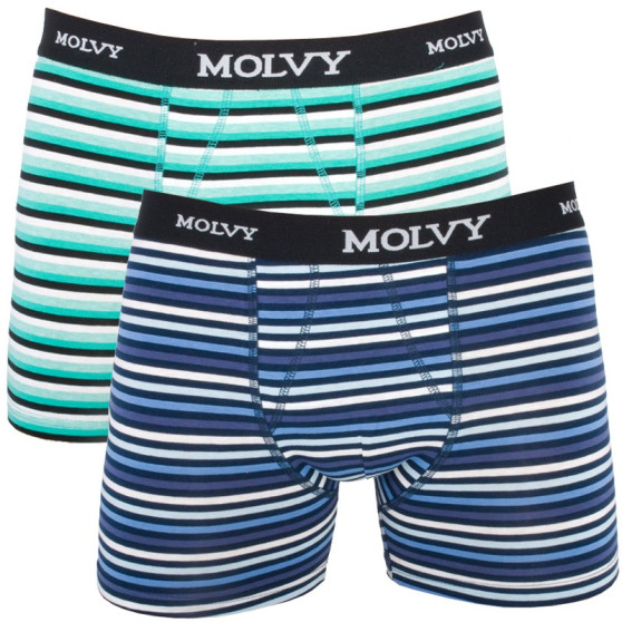 2PACK Boxershorts för herrar Molvy multicolour (KP-044-BEU)