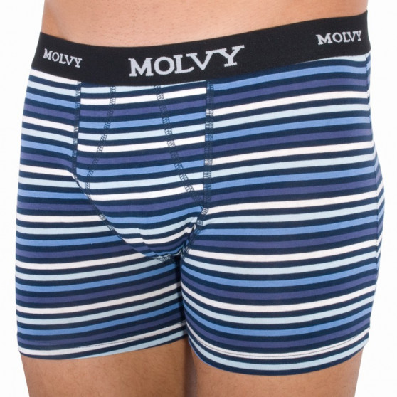 2PACK Boxershorts för herrar Molvy multicolour (KP-044-BEU)