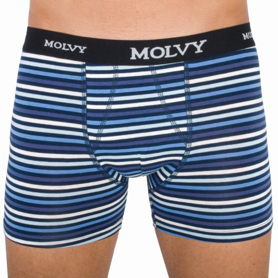 2PACK Boxershorts för herrar Molvy multicolour (KP-044-BEU)