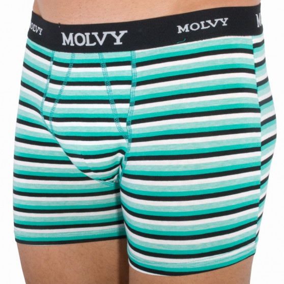 2PACK Boxershorts för herrar Molvy multicolour (KP-044-BEU)