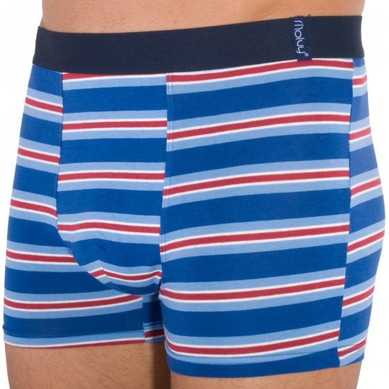 2PACK Boxershorts för herrar Molvy multicolour (KP-043-BEU)