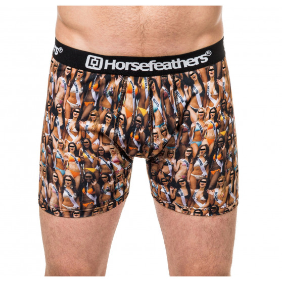 Boxershorts för män Horsefeathers Sidney babes (AA901F)