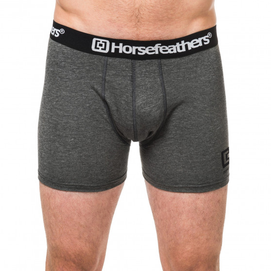 Boxershorts för herrar Horsefeathers Dynasty ljung antracit (AA540D)