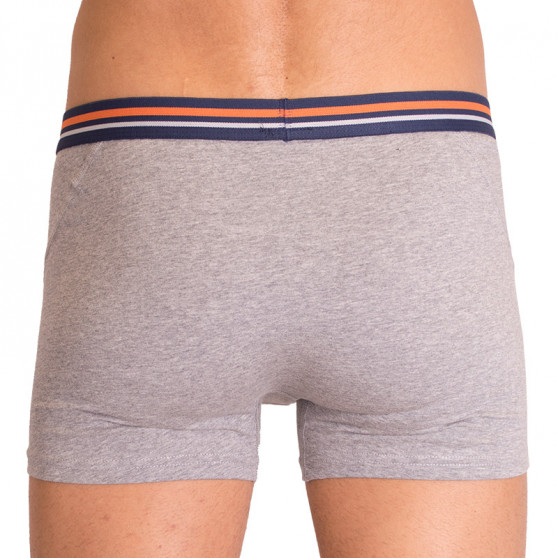 2PACK Boxershorts för herrar  grå med ränder Molvy