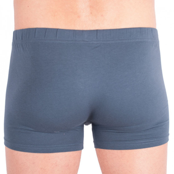 2PACK Boxershorts S.Oliver grå för herrar (26.899.97.2937.9581)