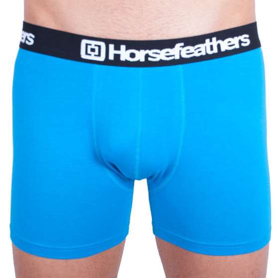 Boxershorts för herrar Horsefeathers Dynasty blå (AA540F)