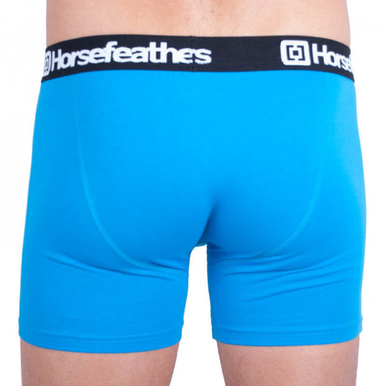 Boxershorts för herrar Horsefeathers Dynasty blå (AA540F)