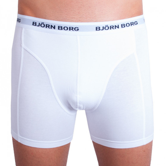 3PACK Boxershorts för herrar Bjorn Borg multicolour (9999-1024-70101)