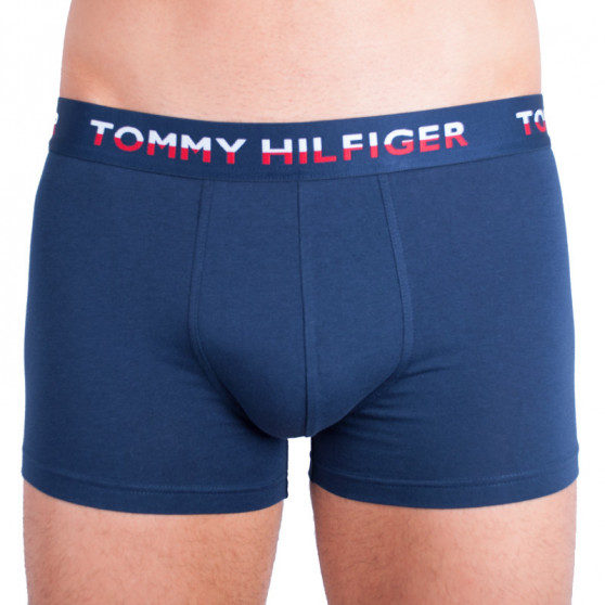 2PACK Boxershorts för herrar Tommy Hilfiger multicolour (UM0UM00746 222)