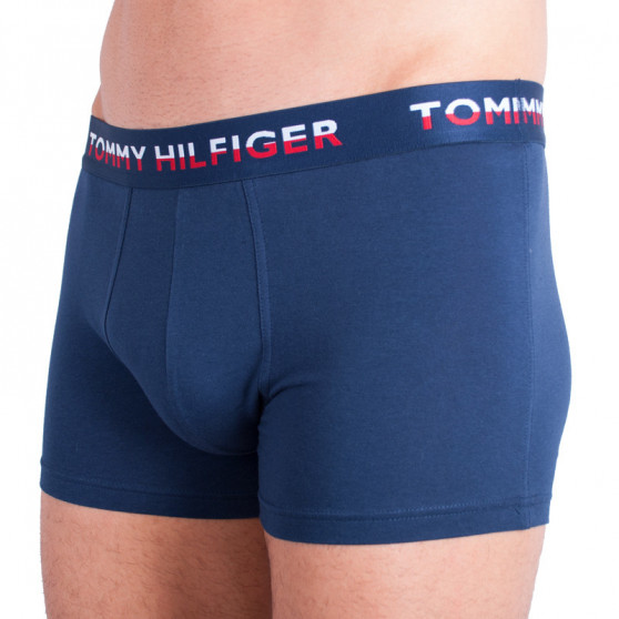 2PACK Boxershorts för herrar Tommy Hilfiger multicolour (UM0UM00746 222)