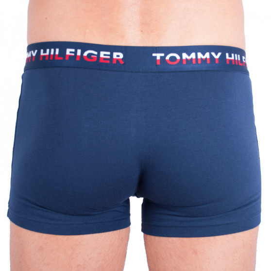 2PACK Boxershorts för herrar Tommy Hilfiger multicolour (UM0UM00746 222)