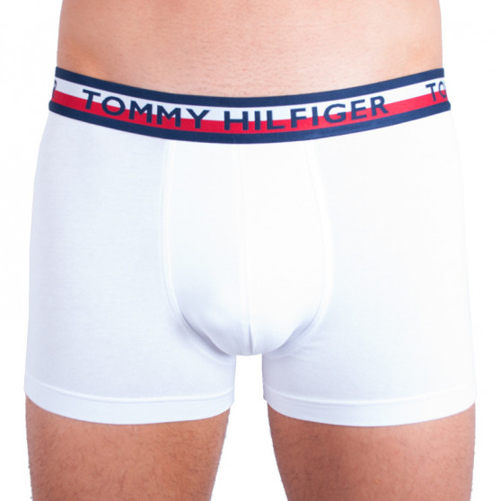 2PACK Boxershorts för herrar Tommy Hilfiger multicolour (UM0UM00746 222)