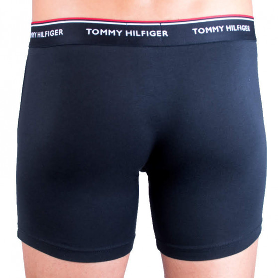 3PACK Boxershorts för herrar Tommy Hilfiger multicolour (UM0UM00010 004)