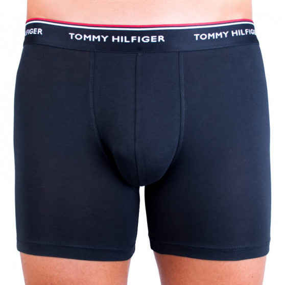 3PACK Boxershorts för herrar Tommy Hilfiger multicolour (UM0UM00010 004)