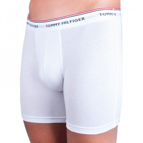 3PACK Boxershorts för herrar Tommy Hilfiger multicolour (UM0UM00010 004)