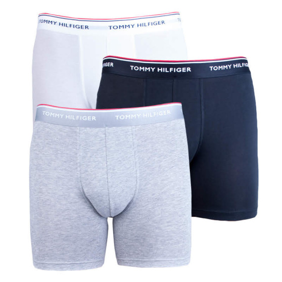 3PACK Boxershorts för herrar Tommy Hilfiger multicolour (UM0UM00010 004)