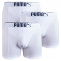 3PACK Boxershorts för herrar Puma vit (681030001 300)