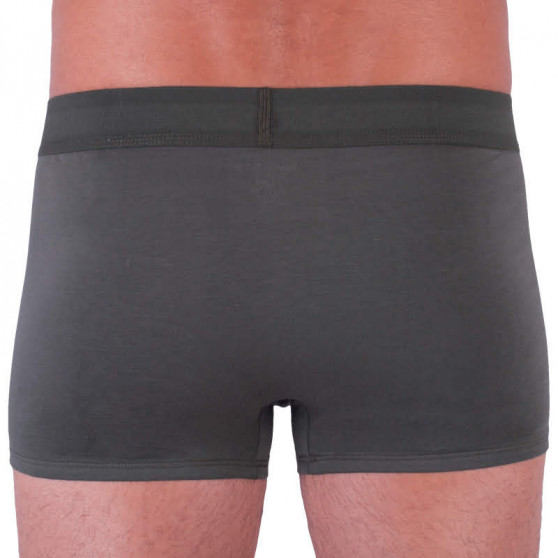 Boxershorts för herrar Calvin Klein grön (NB1678A-TBY)