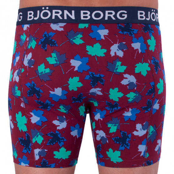 2PACK Boxershorts för herrar Bjorn Borg multicolour (1841-1204-40501)