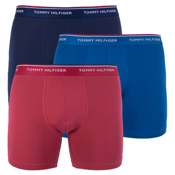 3PACK Boxershorts för herrar Tommy Hilfiger multicolour (UM0UM00010 071)