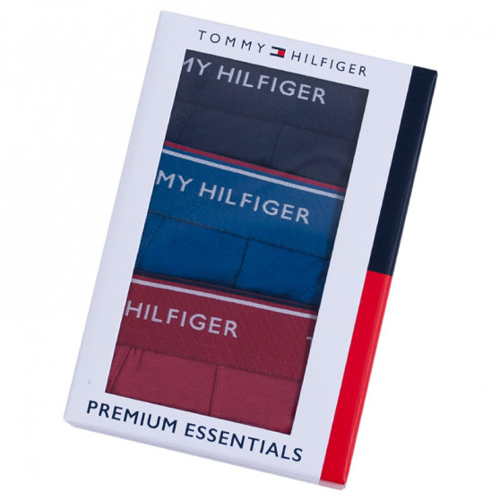 3PACK Boxershorts för herrar Tommy Hilfiger multicolour (UM0UM00010 071)