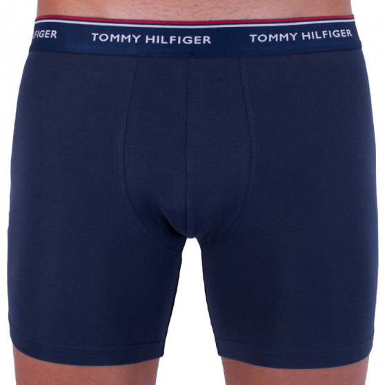 3PACK Boxershorts för herrar Tommy Hilfiger multicolour (UM0UM00010 071)