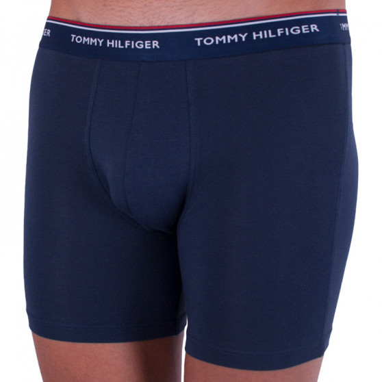 3PACK Boxershorts för herrar Tommy Hilfiger multicolour (UM0UM00010 071)