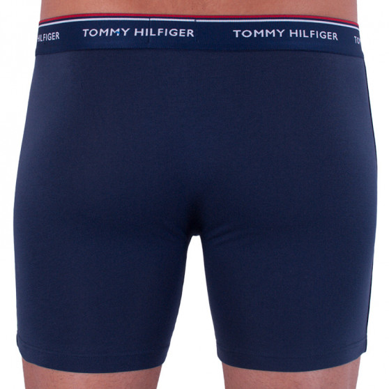 3PACK Boxershorts för herrar Tommy Hilfiger multicolour (UM0UM00010 071)