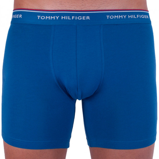 3PACK Boxershorts för herrar Tommy Hilfiger multicolour (UM0UM00010 071)