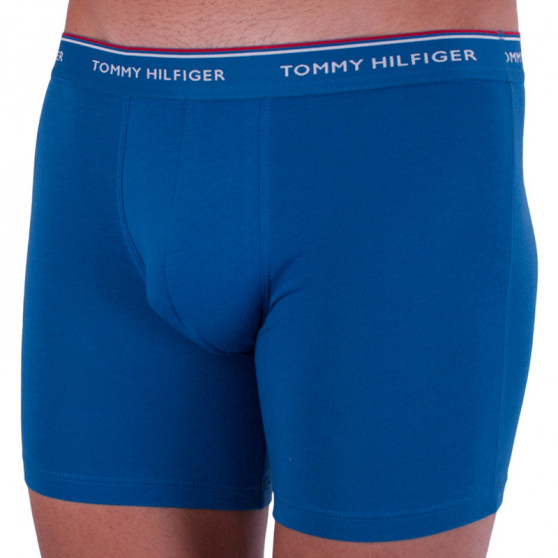 3PACK Boxershorts för herrar Tommy Hilfiger multicolour (UM0UM00010 071)