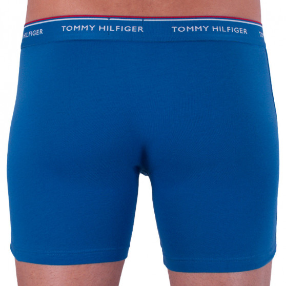 3PACK Boxershorts för herrar Tommy Hilfiger multicolour (UM0UM00010 071)