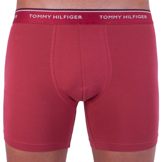 3PACK Boxershorts för herrar Tommy Hilfiger multicolour (UM0UM00010 071)