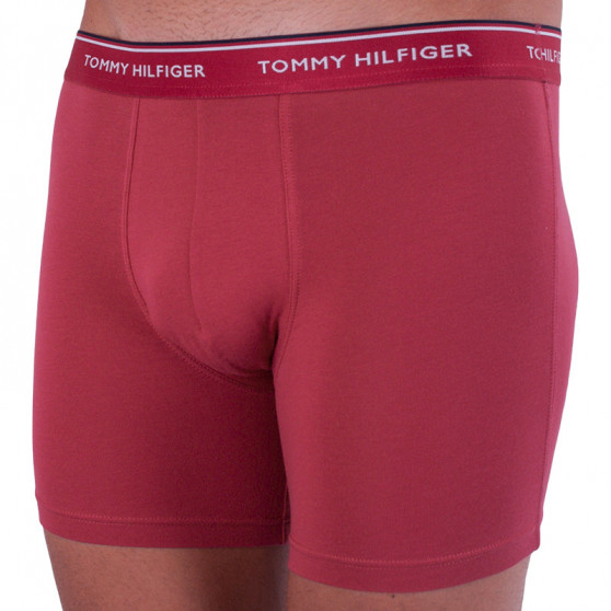 3PACK Boxershorts för herrar Tommy Hilfiger multicolour (UM0UM00010 071)