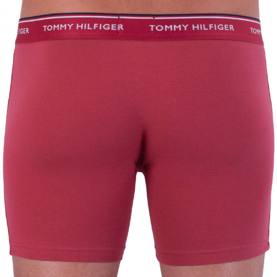 3PACK Boxershorts för herrar Tommy Hilfiger multicolour (UM0UM00010 071)