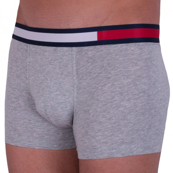 Boxershorts för herrar Tommy Hilfiger grå (UM0UM01370 004)