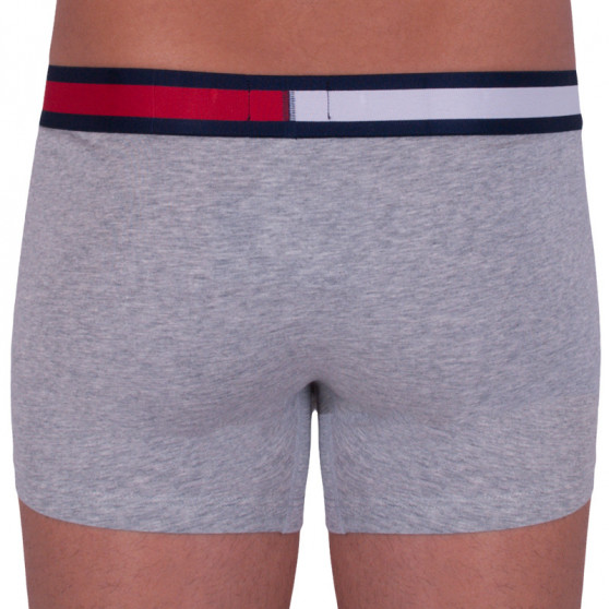 Boxershorts för herrar Tommy Hilfiger grå (UM0UM01370 004)