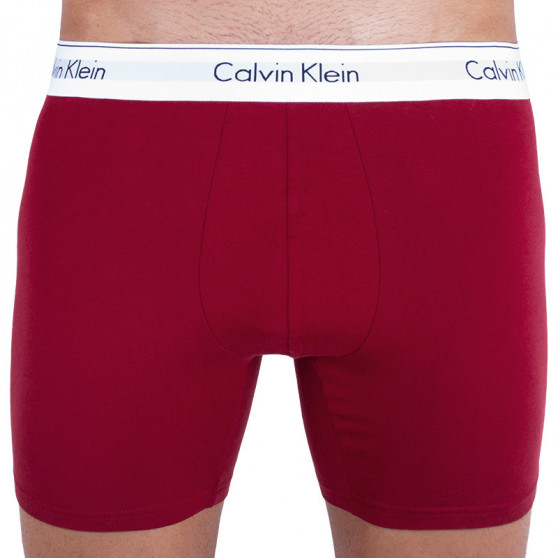 2PACK Boxershorts för herrar Calvin Klein multicolour (NB1087A-LKQ)