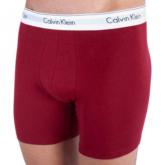 2PACK Boxershorts för herrar Calvin Klein multicolour (NB1087A-LKQ)