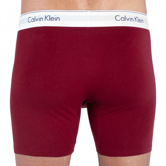 2PACK Boxershorts för herrar Calvin Klein multicolour (NB1087A-LKQ)