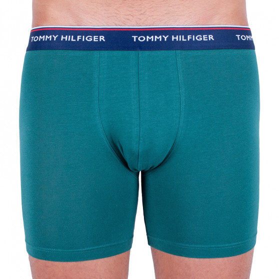 3PACK Boxershorts för herrar Tommy Hilfiger multicolour (UM0UM00010 052)