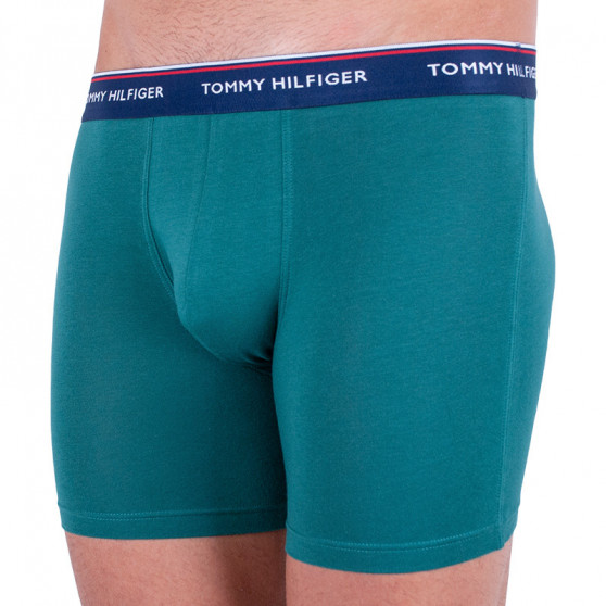 3PACK Boxershorts för herrar Tommy Hilfiger multicolour (UM0UM00010 052)