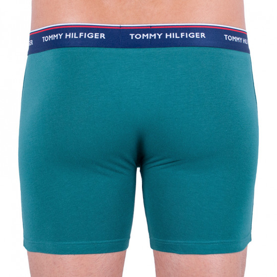 3PACK Boxershorts för herrar Tommy Hilfiger multicolour (UM0UM00010 052)