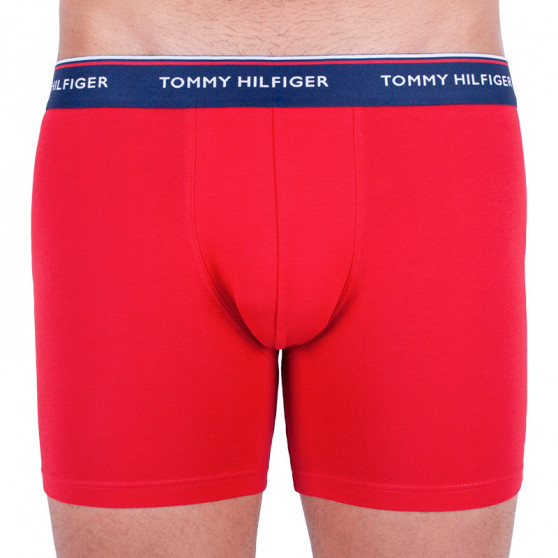 3PACK Boxershorts för herrar Tommy Hilfiger multicolour (UM0UM00010 052)