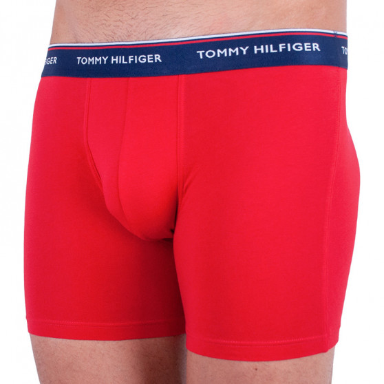 3PACK Boxershorts för herrar Tommy Hilfiger multicolour (UM0UM00010 052)