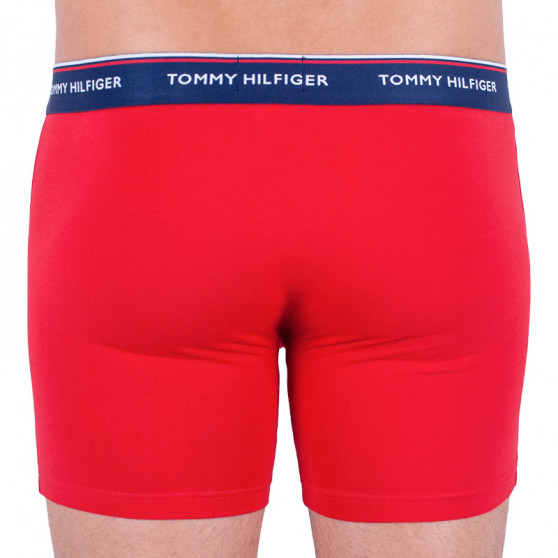 3PACK Boxershorts för herrar Tommy Hilfiger multicolour (UM0UM00010 052)