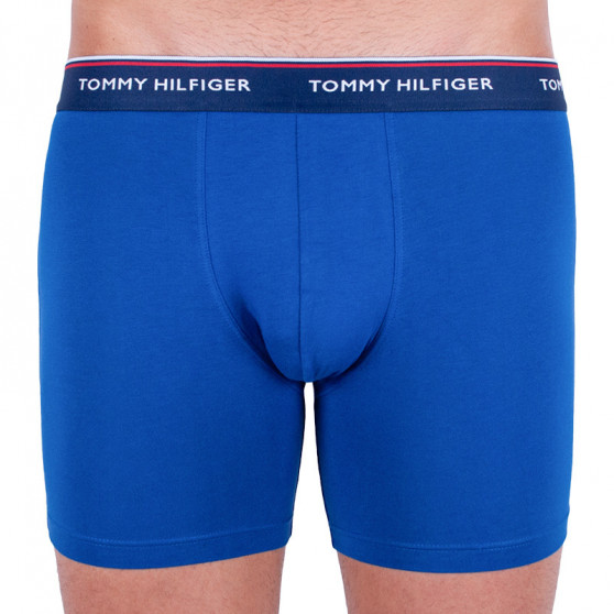 3PACK Boxershorts för herrar Tommy Hilfiger multicolour (UM0UM00010 052)