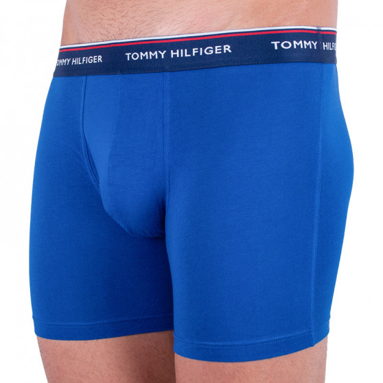 3PACK Boxershorts för herrar Tommy Hilfiger multicolour (UM0UM00010 052)